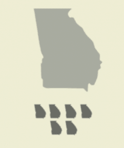 Foot Print